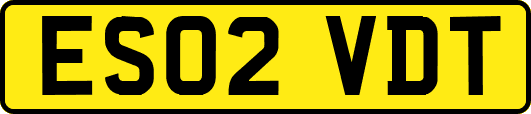 ES02VDT