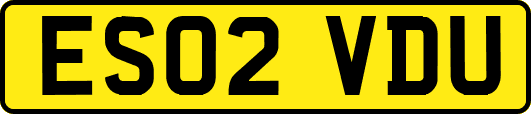 ES02VDU