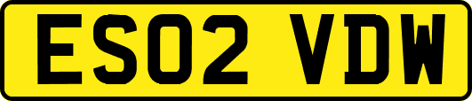 ES02VDW