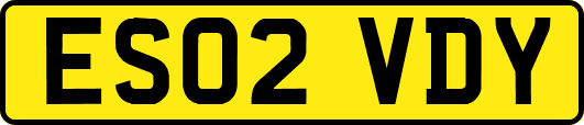 ES02VDY