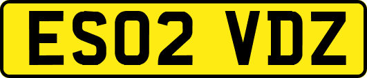 ES02VDZ
