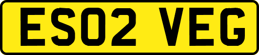 ES02VEG