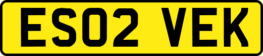 ES02VEK