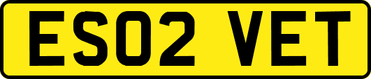 ES02VET