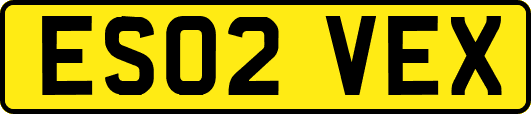 ES02VEX