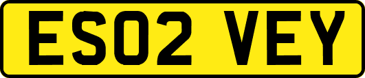 ES02VEY