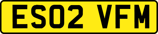 ES02VFM