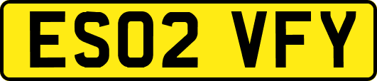 ES02VFY