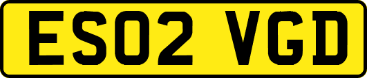 ES02VGD
