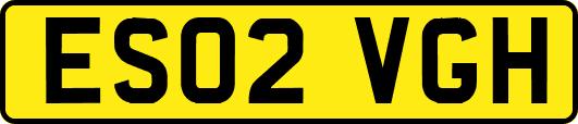 ES02VGH