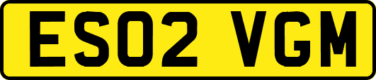 ES02VGM