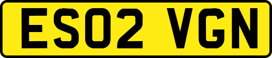 ES02VGN
