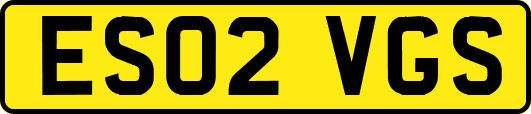 ES02VGS