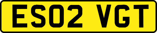 ES02VGT
