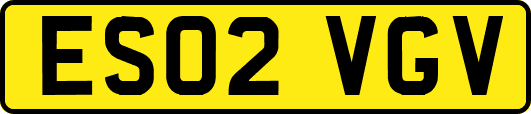 ES02VGV