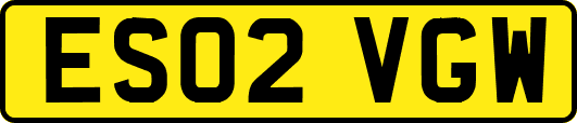 ES02VGW