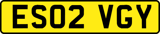 ES02VGY