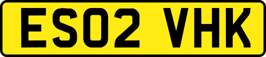 ES02VHK