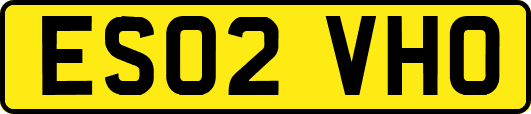 ES02VHO