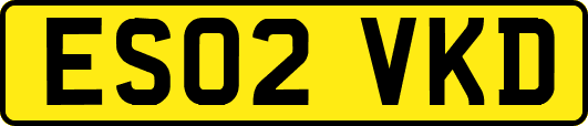 ES02VKD