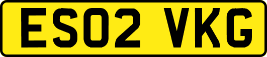 ES02VKG
