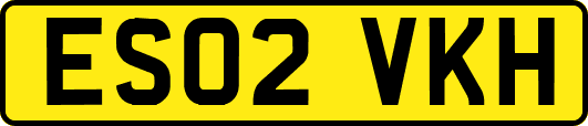 ES02VKH