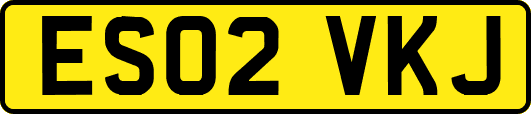 ES02VKJ