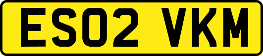 ES02VKM