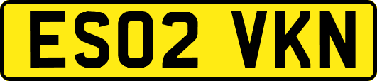 ES02VKN