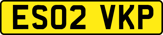 ES02VKP