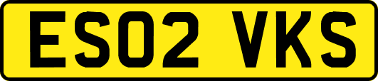 ES02VKS