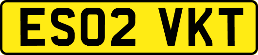 ES02VKT