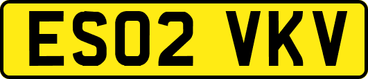 ES02VKV