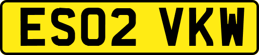 ES02VKW