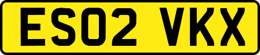 ES02VKX