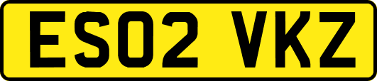 ES02VKZ