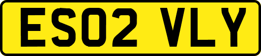 ES02VLY