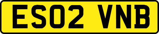 ES02VNB