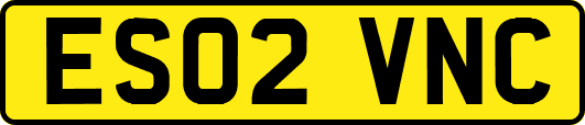 ES02VNC