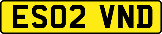 ES02VND