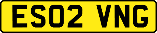 ES02VNG