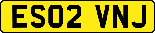 ES02VNJ