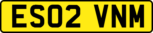 ES02VNM