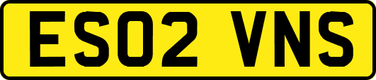 ES02VNS