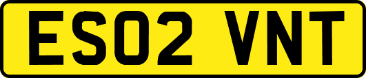 ES02VNT