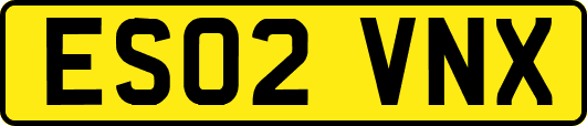 ES02VNX