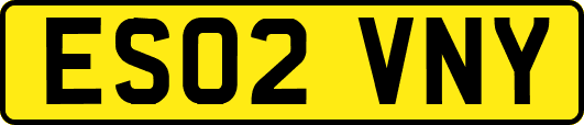 ES02VNY