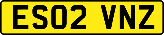 ES02VNZ