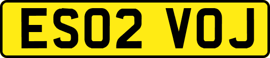 ES02VOJ