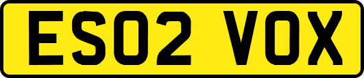 ES02VOX
